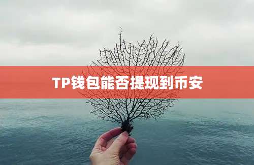 TP钱包能否提现到币安