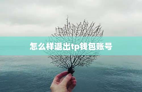 怎么样退出tp钱包账号