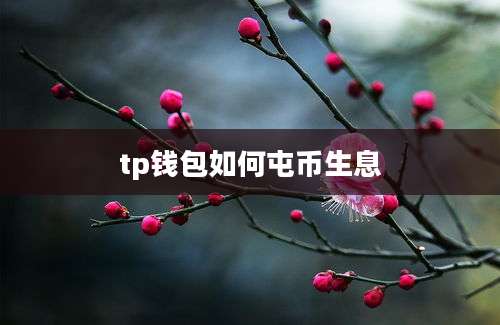 tp钱包如何屯币生息
