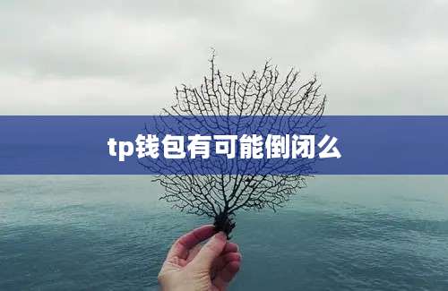 tp钱包有可能倒闭么
