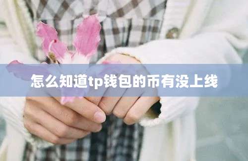 怎么知道tp钱包的币有没上线
