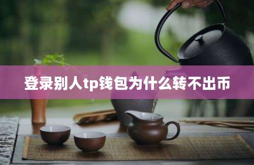 登录别人tp钱包为什么转不出币