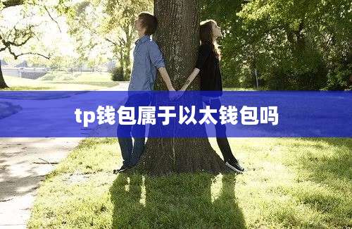 tp钱包属于以太钱包吗