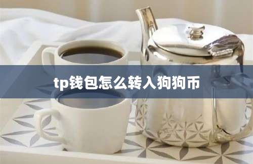 tp钱包怎么转入狗狗币