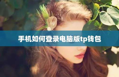 手机如何登录电脑版tp钱包