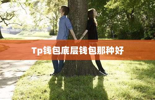 Tp钱包底层钱包那种好
