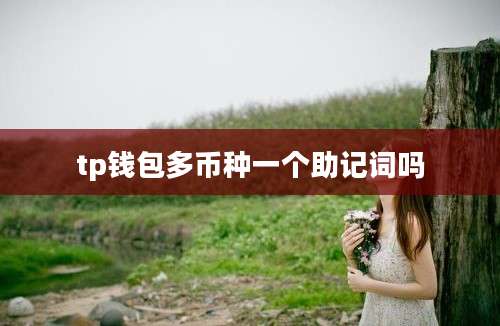 tp钱包多币种一个助记词吗