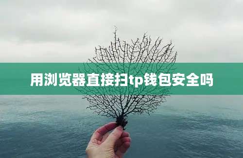 用浏览器直接扫tp钱包安全吗