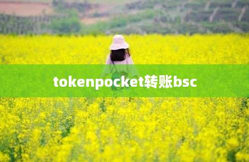 tokenpocket转账bsc