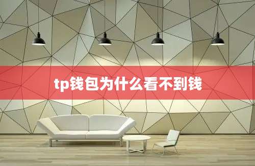 tp钱包为什么看不到钱