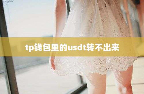 tp钱包里的usdt转不出来