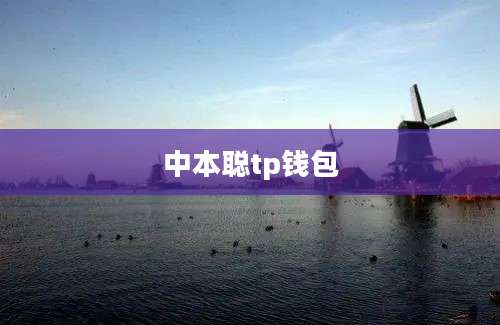 中本聪tp钱包