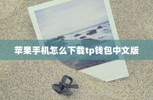 苹果手机怎么下载tp钱包中文版