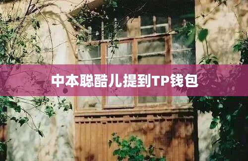 中本聪酷儿提到TP钱包