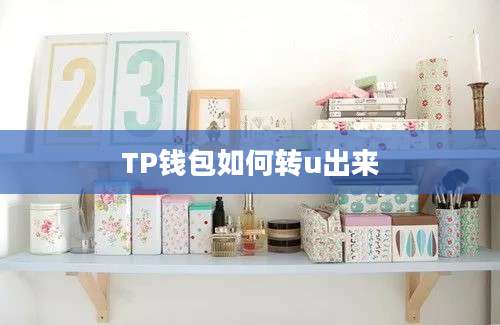 TP钱包如何转u出来