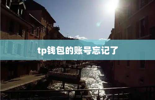 tp钱包的账号忘记了