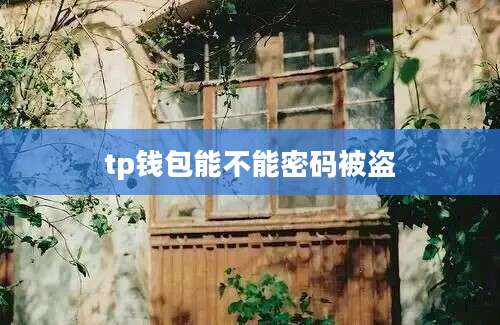 tp钱包能不能密码被盗