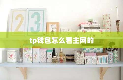 tp钱包怎么看主网的