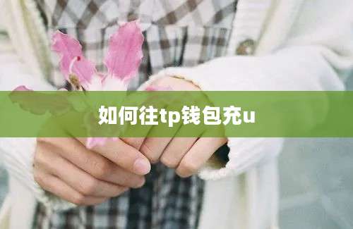 如何往tp钱包充u