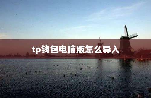 tp钱包电脑版怎么导入