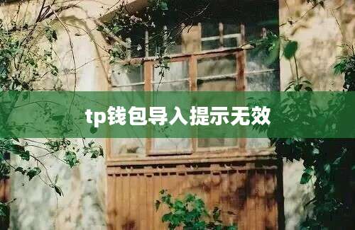 tp钱包导入提示无效