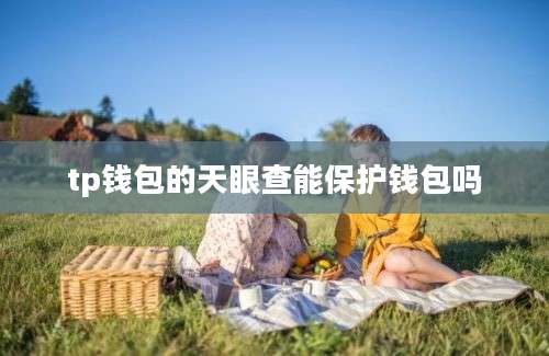 tp钱包的天眼查能保护钱包吗