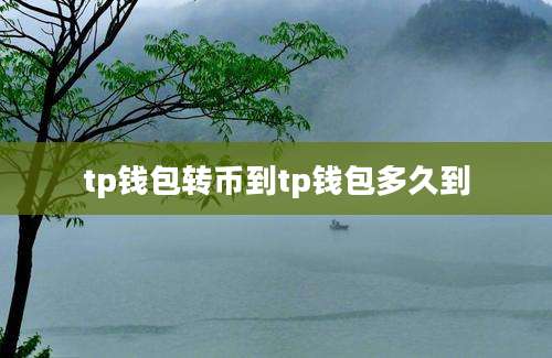 tp钱包转币到tp钱包多久到