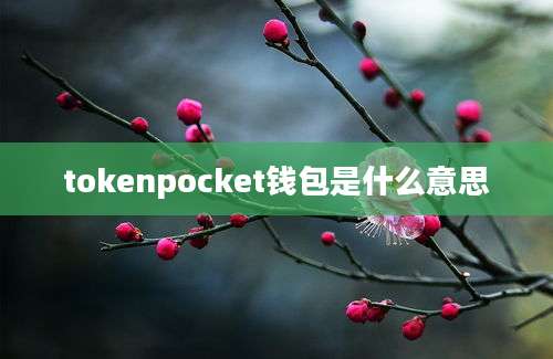 tokenpocket钱包是什么意思