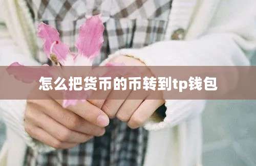 怎么把货币的币转到tp钱包