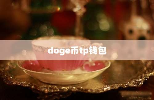 doge币tp钱包