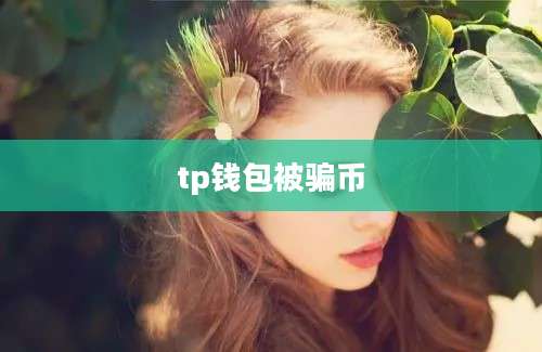 tp钱包被骗币