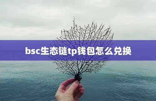 bsc生态链tp钱包怎么兑换