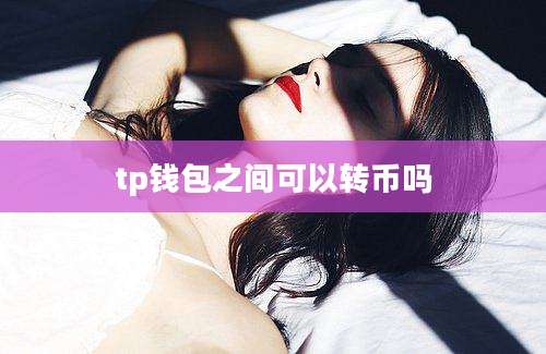 tp钱包之间可以转币吗