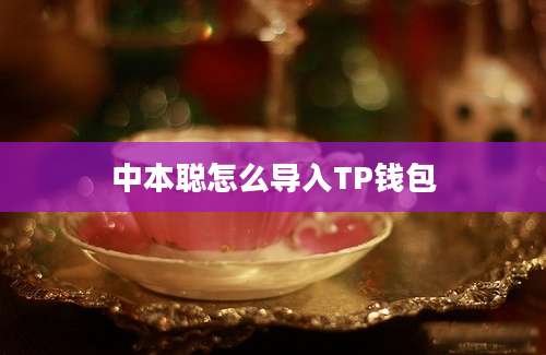 中本聪怎么导入TP钱包