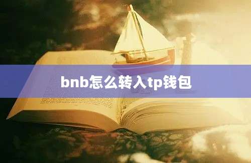 bnb怎么转入tp钱包