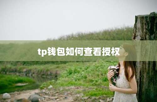 tp钱包如何查看授权