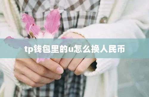 tp钱包里的u怎么换人民币