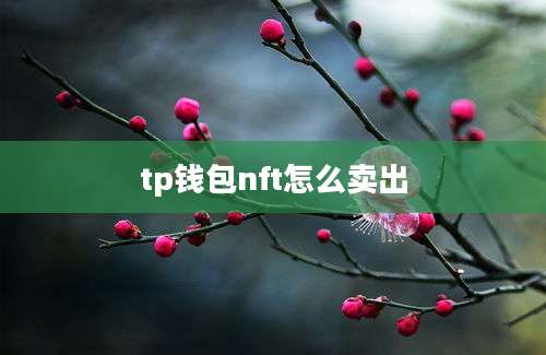 tp钱包nft怎么卖出