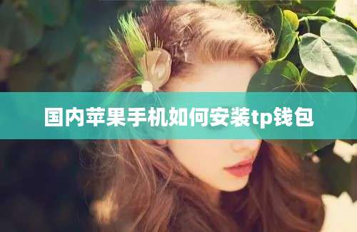 国内苹果手机如何安装tp钱包
