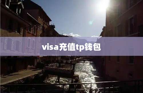 visa充值tp钱包