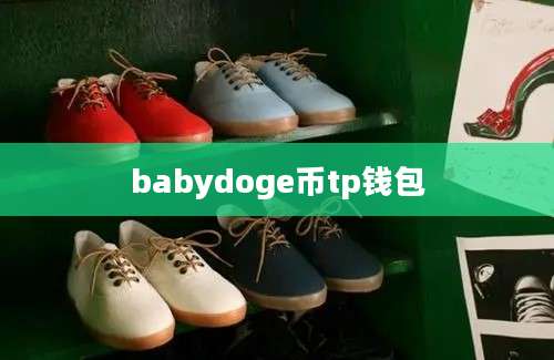 babydoge币tp钱包