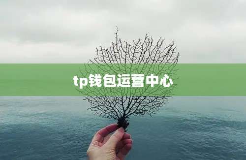 tp钱包运营中心