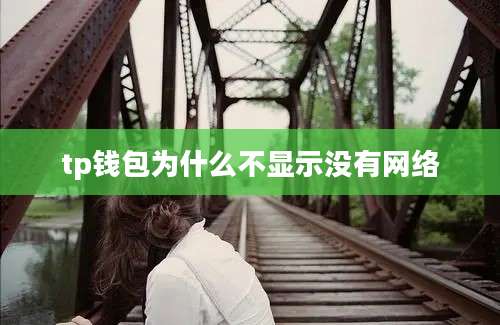 tp钱包为什么不显示没有网络
