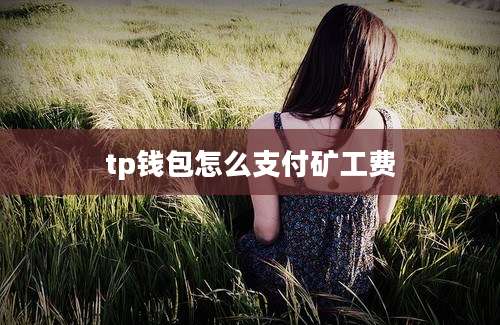 tp钱包怎么支付矿工费