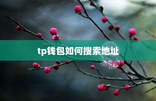 tp钱包如何搜索地址