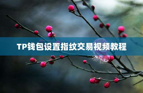 TP钱包设置指纹交易视频教程