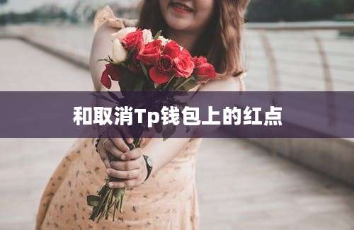 和取消Tp钱包上的红点