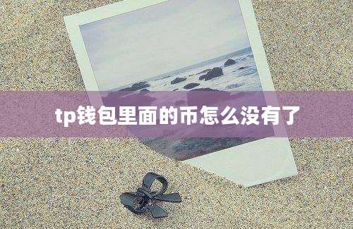 tp钱包里面的币怎么没有了