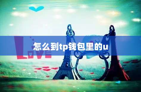 怎么到tp钱包里的u