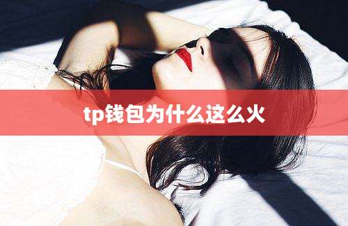 tp钱包为什么这么火